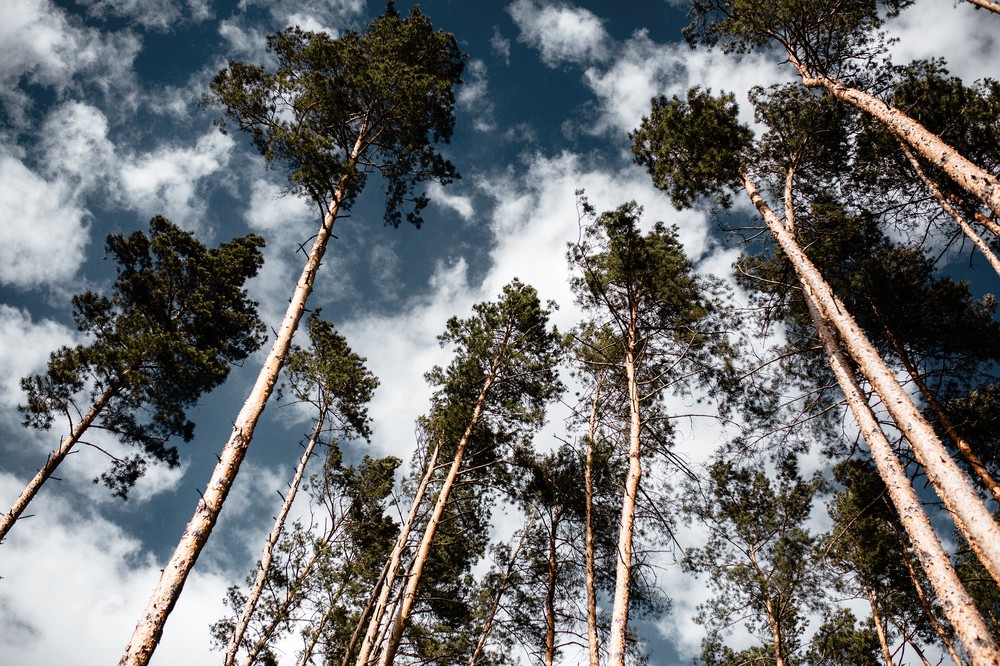 Наташа и Паша