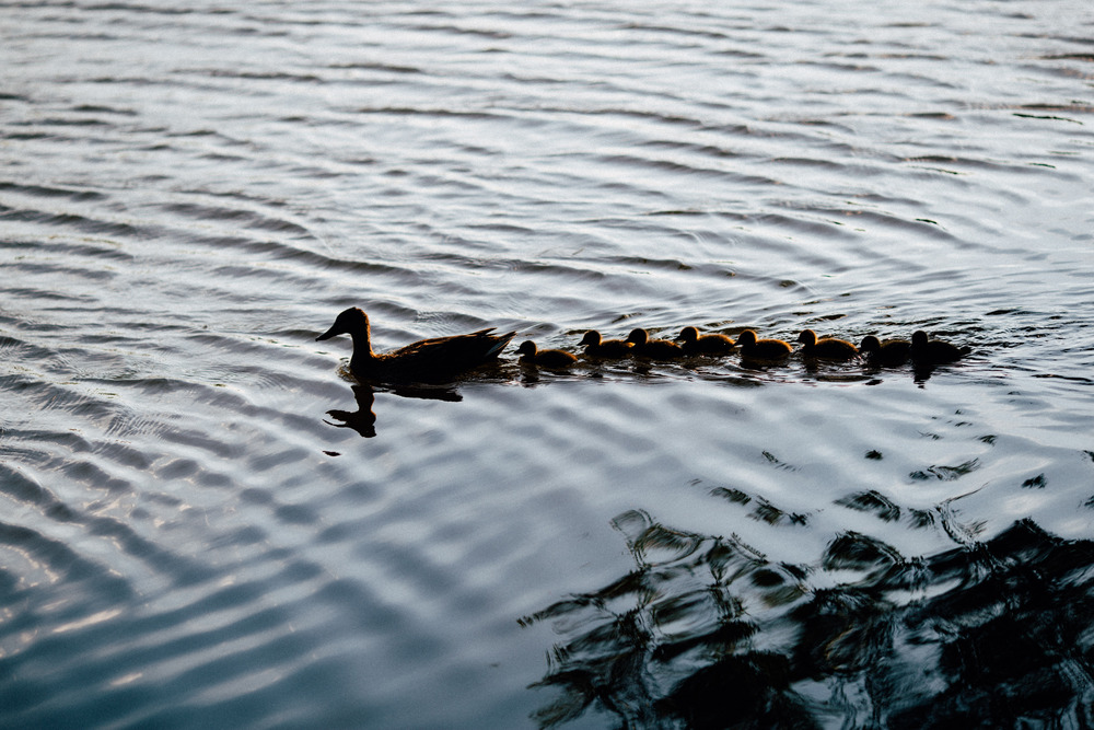 Никита и Кристина