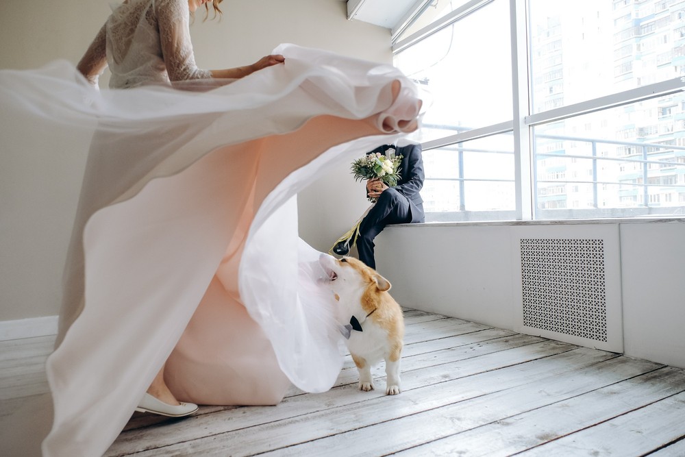 IGOR & VALERIA