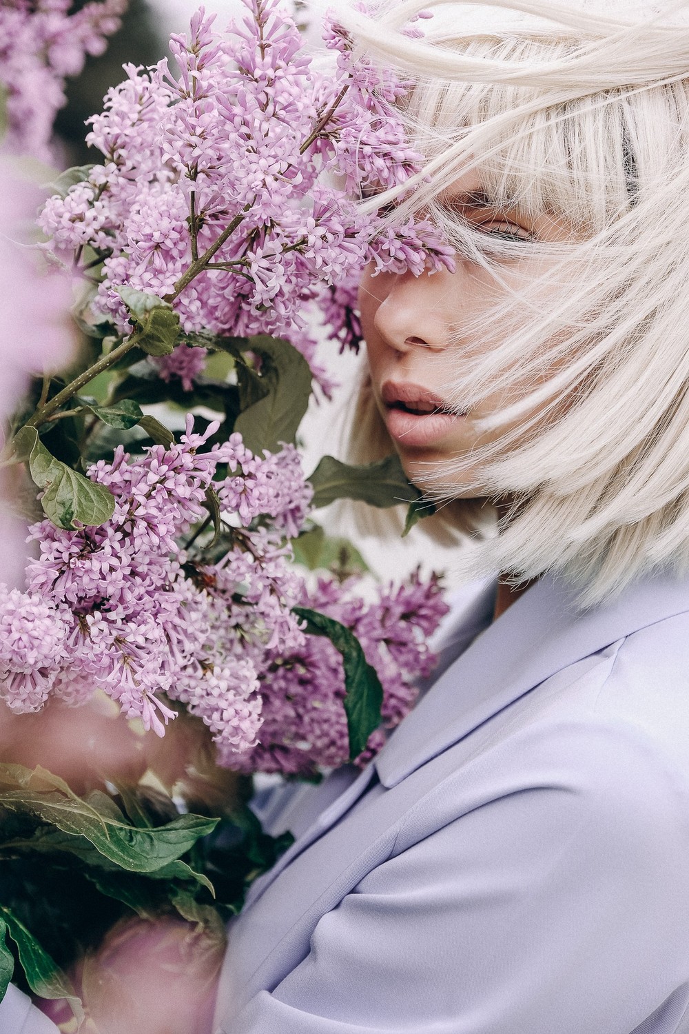 Lilac Flower