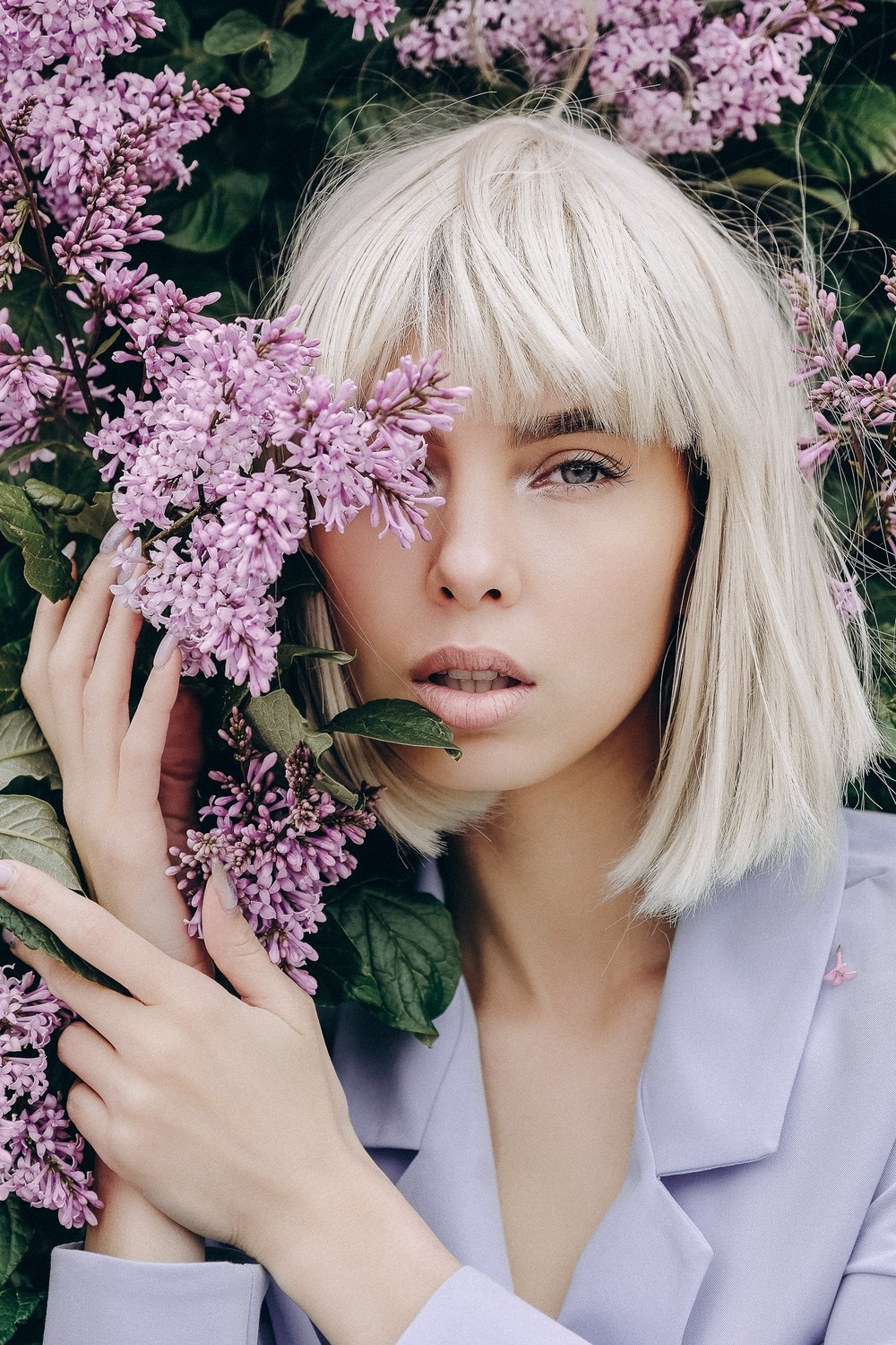 Lilac Flower