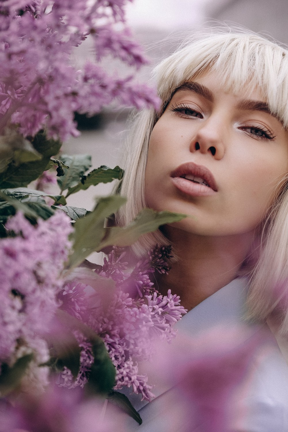 Lilac Flower