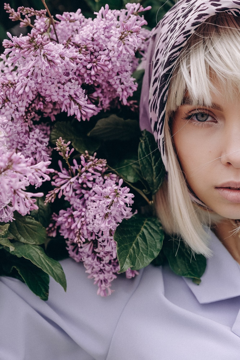 Lilac Flower
