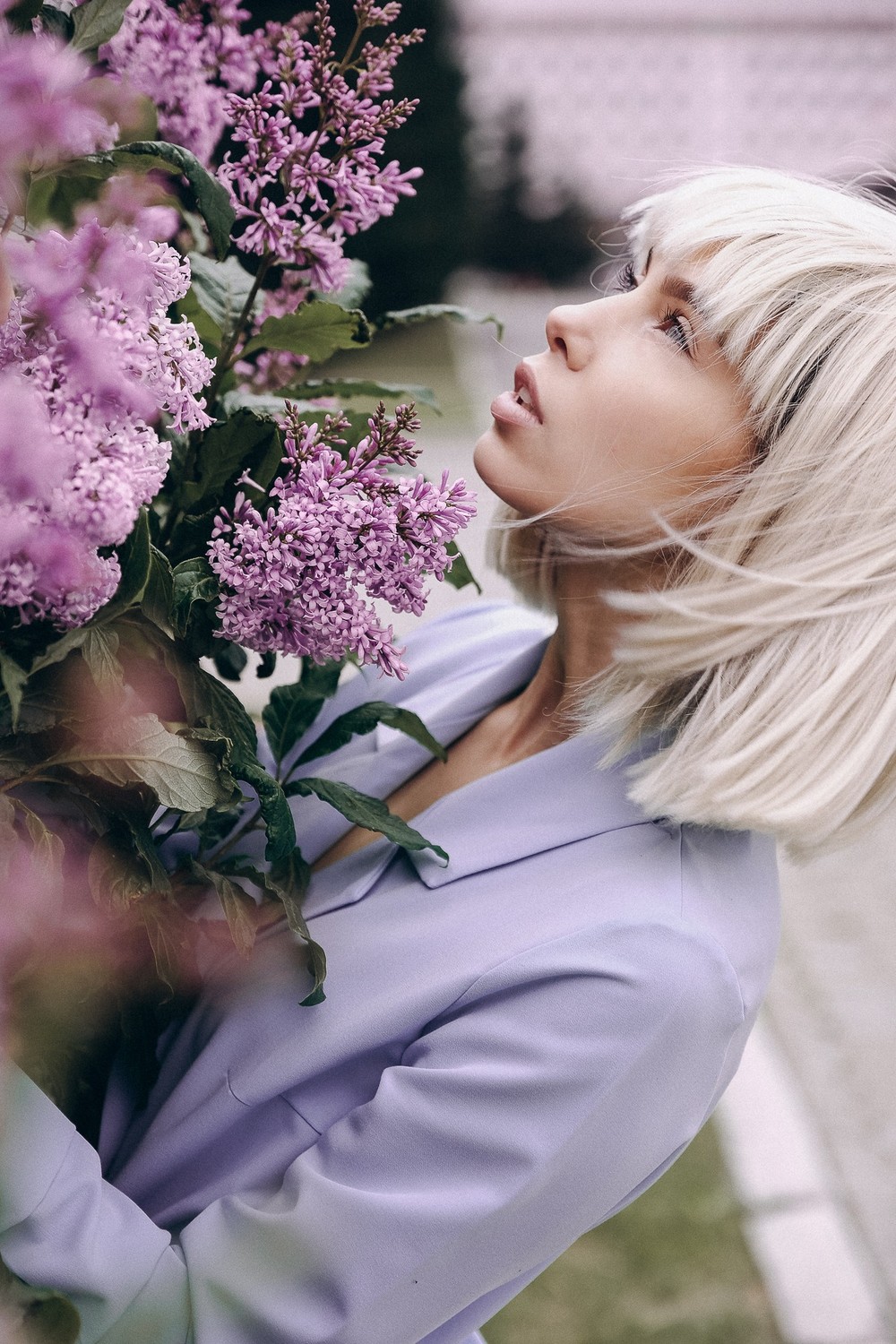 Lilac Flower