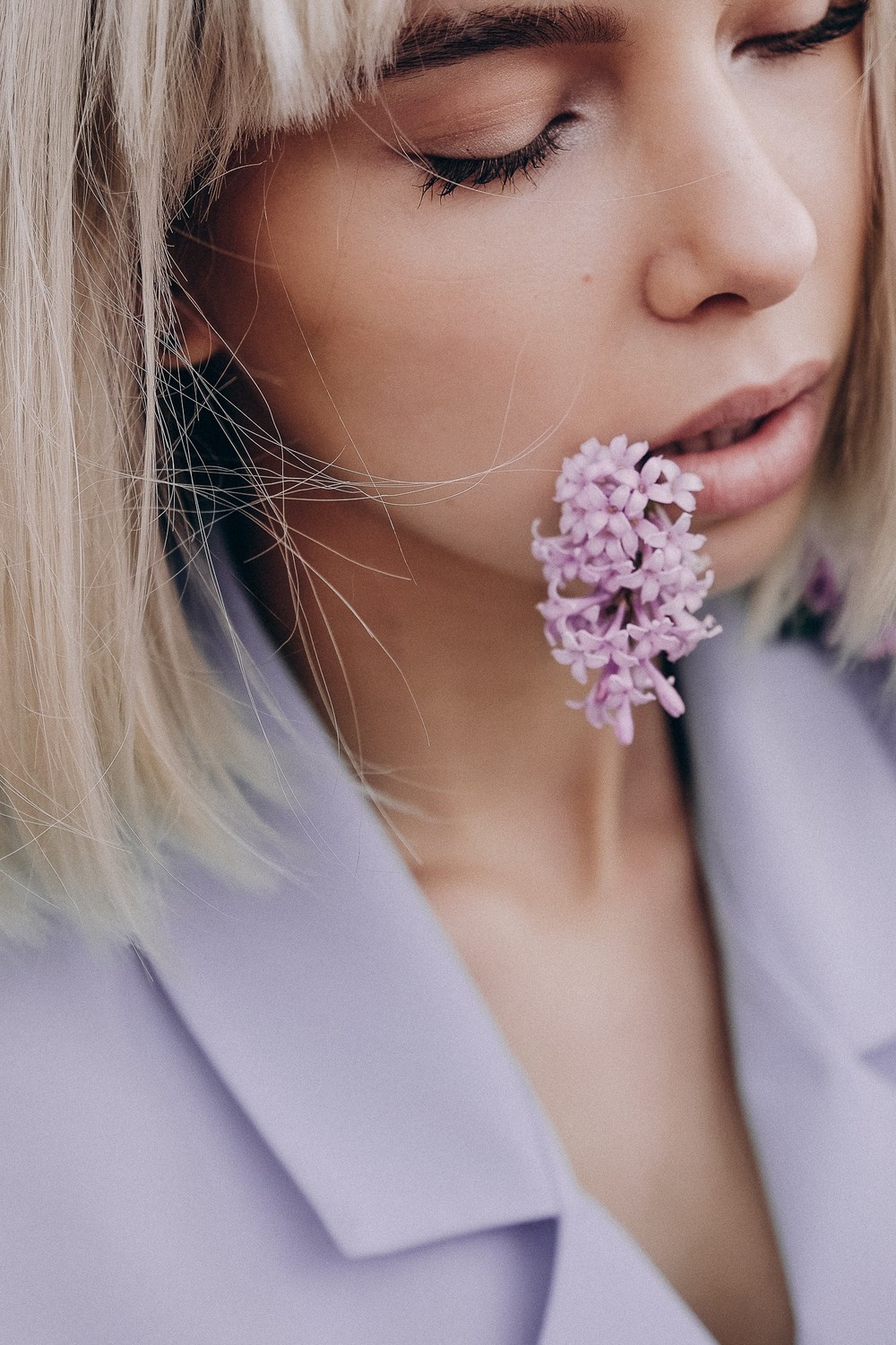 Lilac Flower