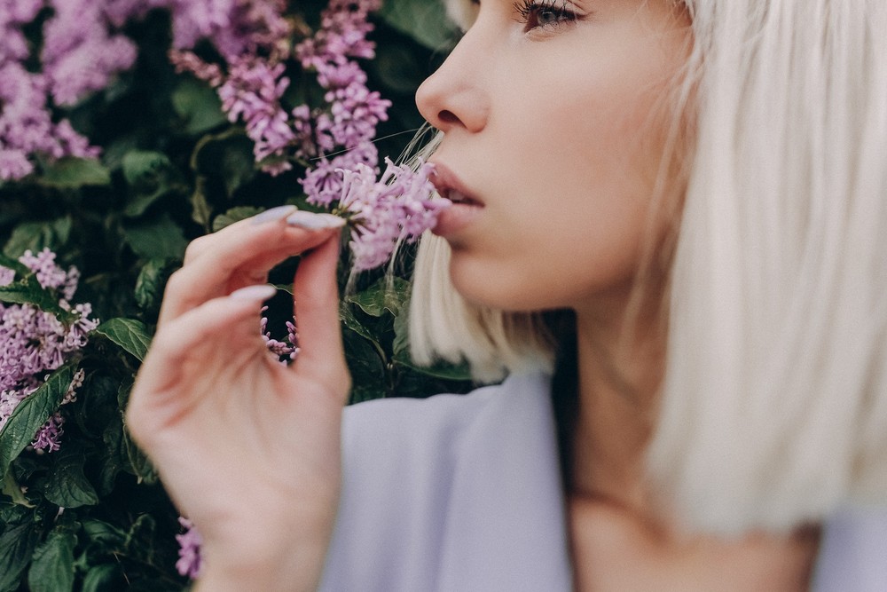 Lilac Flower
