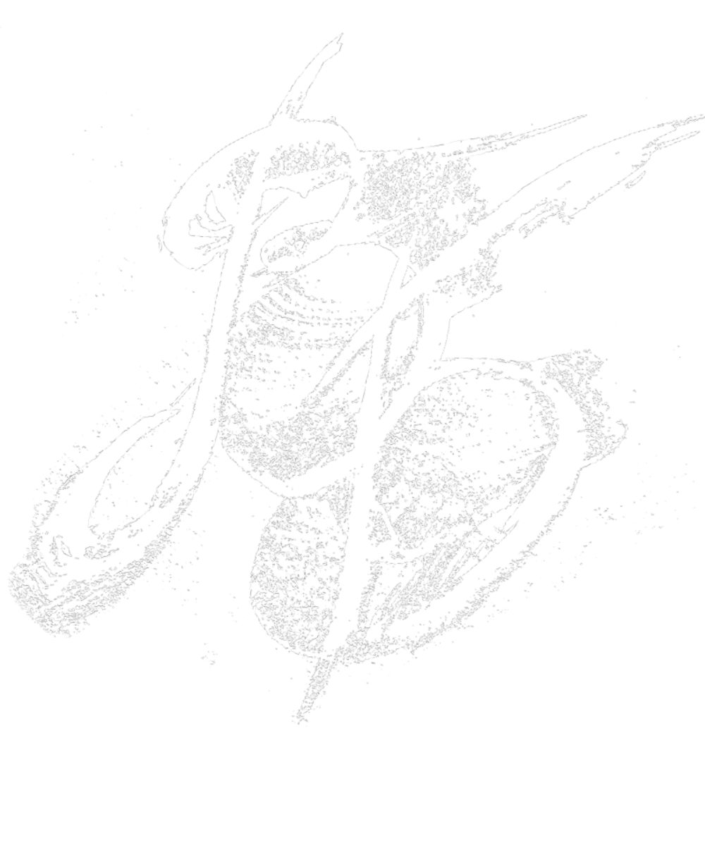 Варвара Баскова