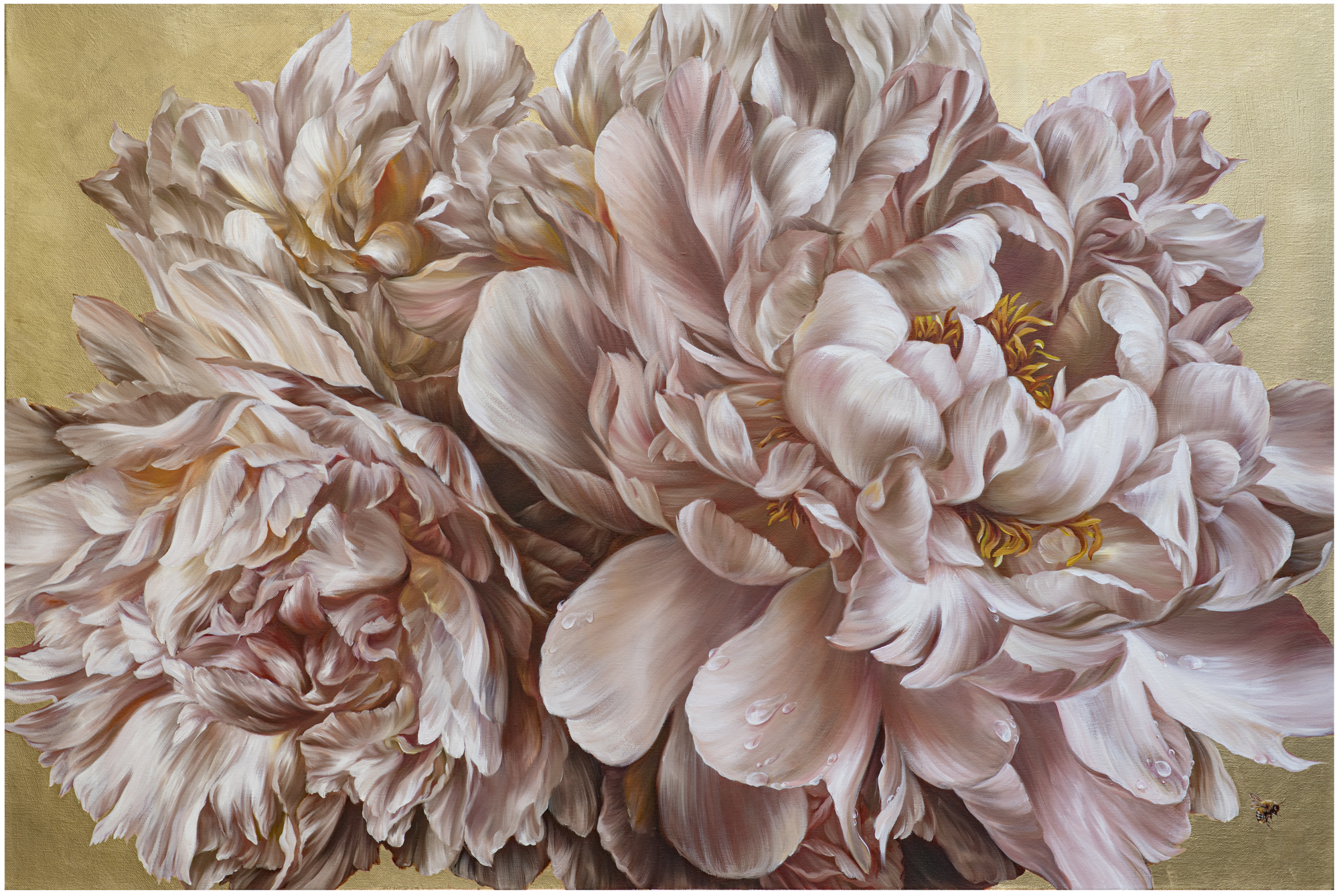 Flowers Collection