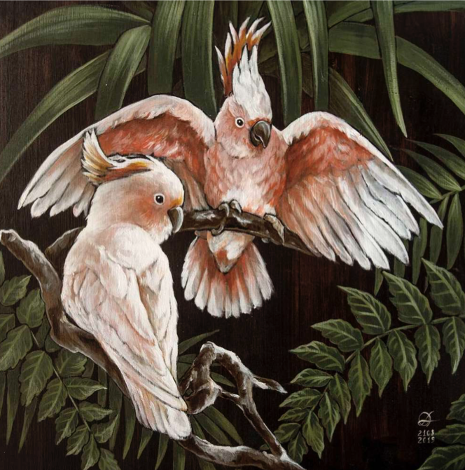 COCKATOO Workshop
