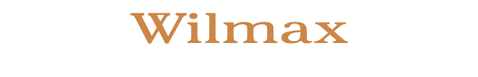 Wilmax England