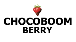 CHOCOBOOM BERRY